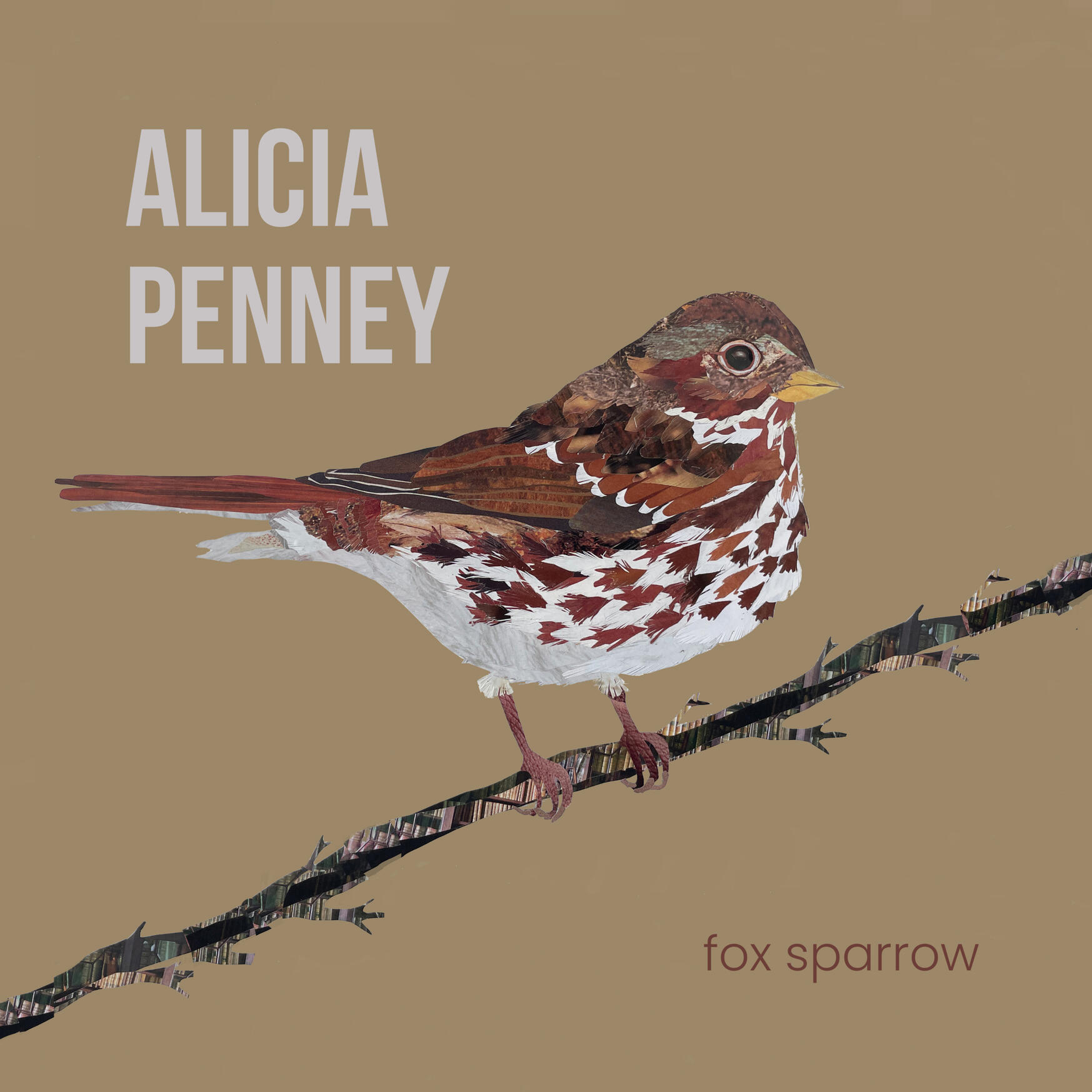 fox sparrow album artwork